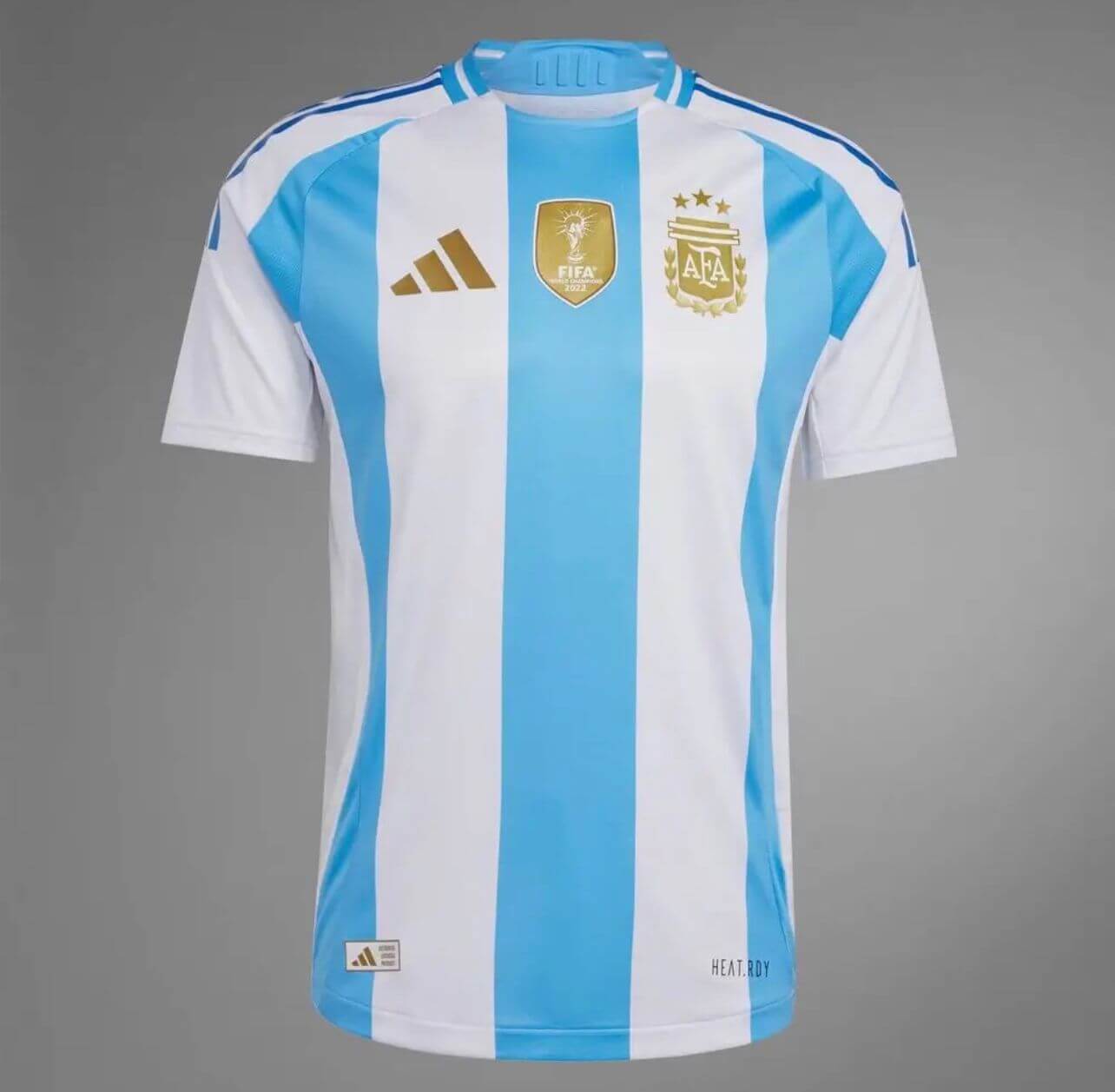 Argentina Blue White T-Shirt and Shorts Set (Adult Large)